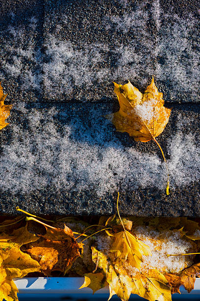 istock Rooftop scattered with leaves and the first fall of snow. 532953421