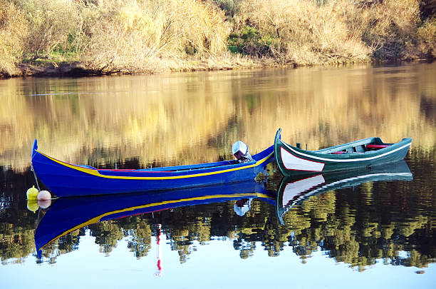 Typical boat, called Moliceiro, in the fishing village of Torreira, near Aveiro, Portugal