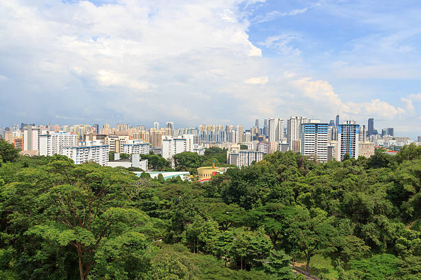 istock Panorama view with Singapore skyline seen from Mount faber rainforest 532954620