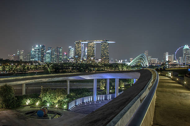 istock Singapore City Skyline at Night 532954901