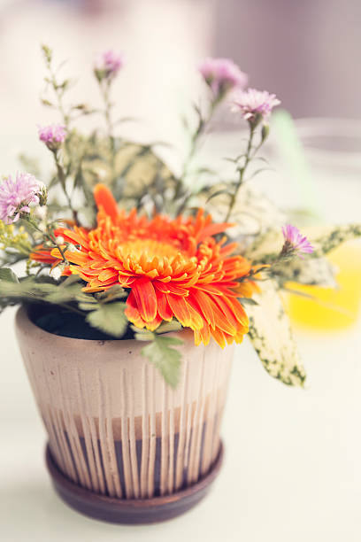 istock bouquet of blooming orange gerbera 532955122