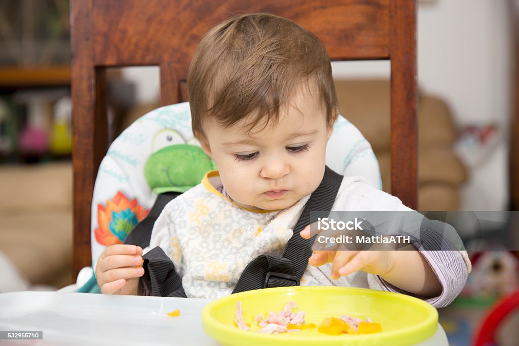 Baby eating from a plate Portrait of little one year old baby at table eating food from a plate with hand 12-23 Months Stock Photo