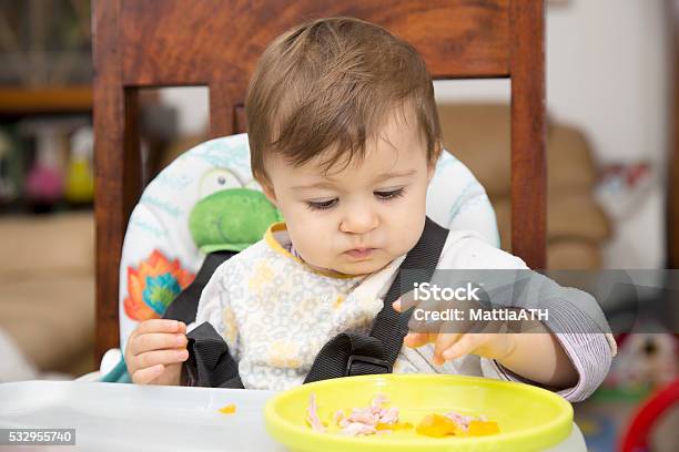 Baby Eating From A Plate Stock Photo - Download Image Now - 12-23 Months, Baby - Human Age, Baby Food