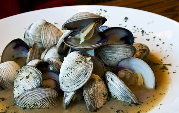istock Freshly steamed clams in broth 532956101
