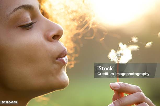 Beautiful Young Woman Blowing Dandelion Flower Stock Photo - Download Image Now - Women, Dandelion, Blowing