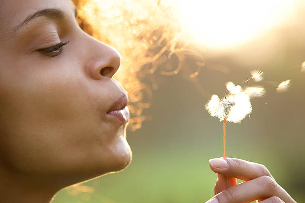 piękna młoda kobieta z kwiat mniszek dmuchać - nature smiling teenage girls female zdjęcia i obrazy z banku zdjęć