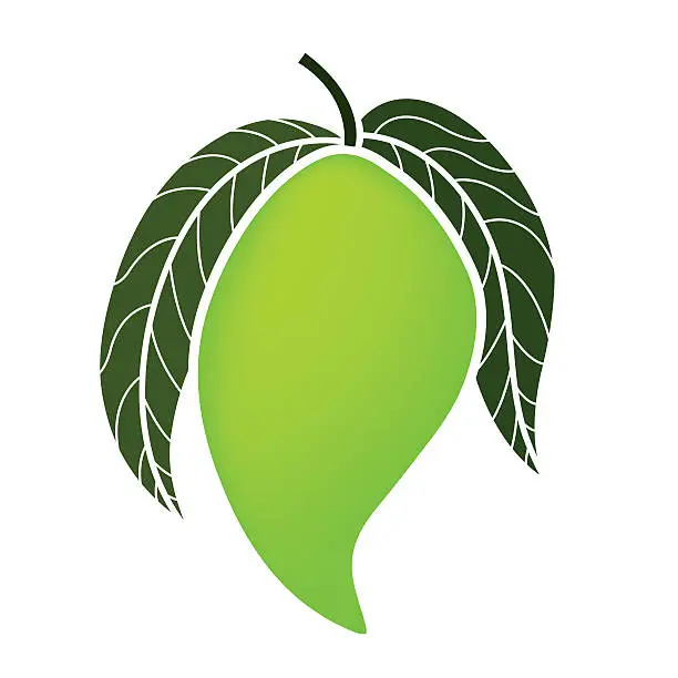 Vector illustration of Mango