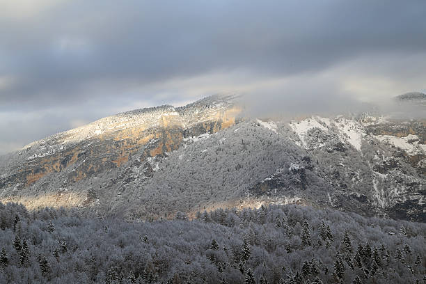 istock enchanting mountain landscape in winter with trees 532957982