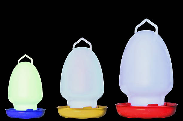 istock Chicken Water Bags 532958288