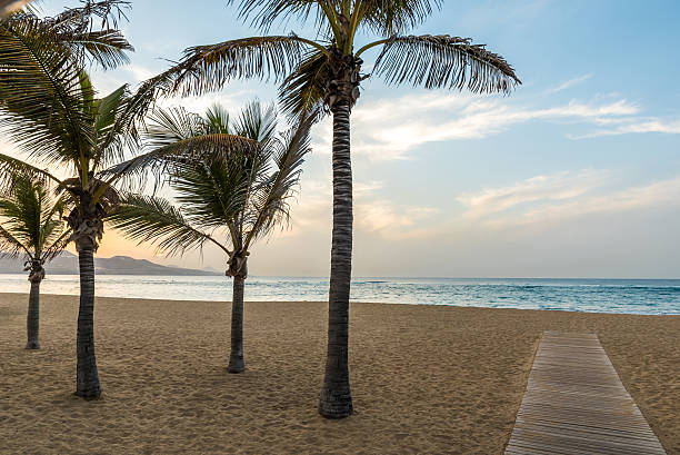 Playa de Las Canteras - beautiful beach in Las Palmas de Gran Canaria