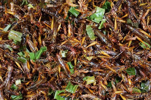 istock grasshoper fried with pandanus leaves 532959261