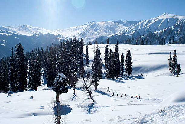 gulmarg 높은 피크 - tourism day winter mountain peak 뉴스 사진 이미지