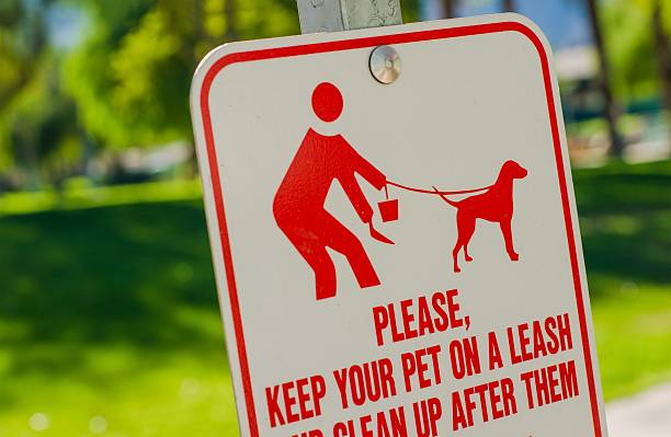 istock Clean Up After Pet Sign 532960379