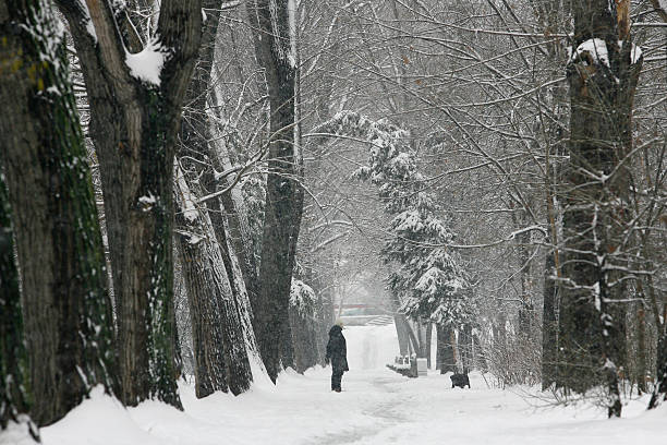 istock Woman in winter time 532961053