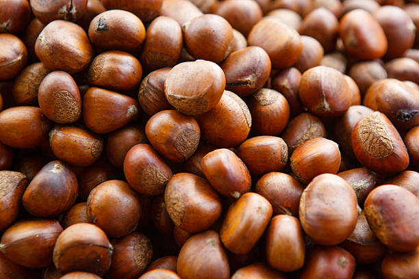 istock Roasted edible chestnuts closeup 532961616
