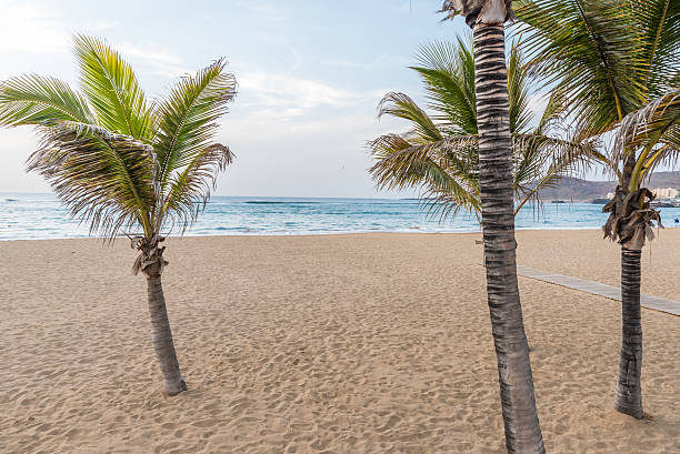 istock Las Canteras Beach - Las Palmas de Gran Canaria 532961758