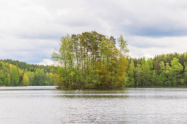 istock Small island on the lake in Finland 532962112