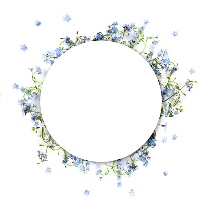 Forget me not blue forest flowers - nature circle frame.
