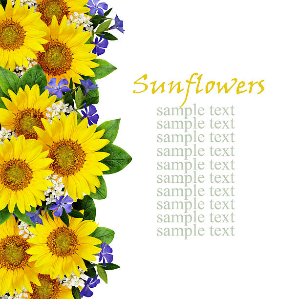 Autumn decoration with sunflower and wheat ears