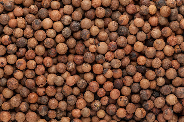 istock Organic Indian sandalwood (Santalum album) seeds. 532967522