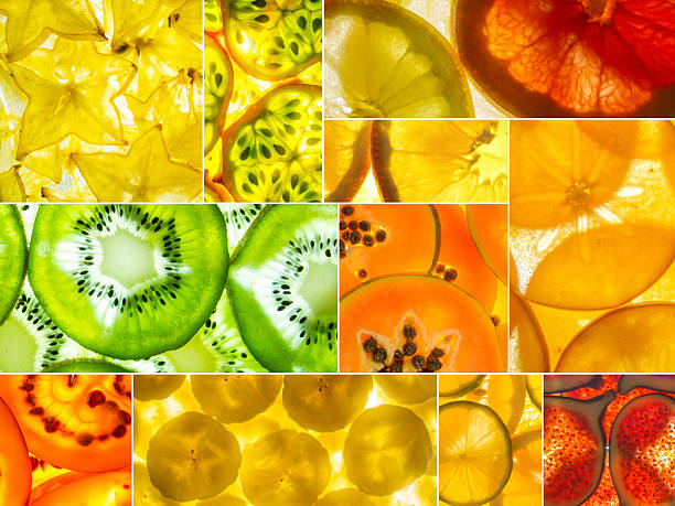 istock assorted collage of back lit fruit slices 532970386