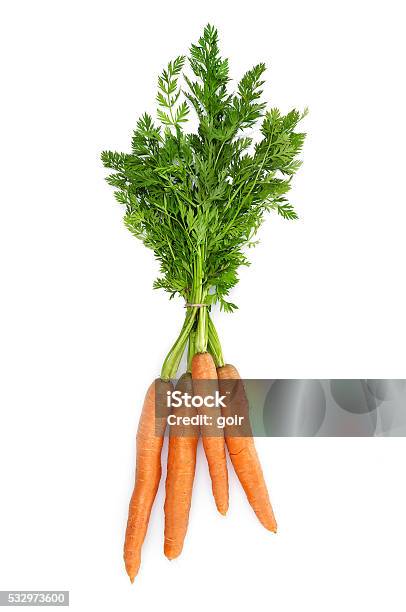 Fresh Carrots Stock Photo - Download Image Now - Carrot, Studio Shot, Crop - Plant