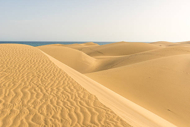 istock Desert with sand dunes in Gran Canaria, Spain 532976336