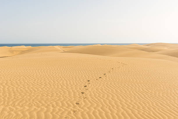istock Desert with sand dunes in Gran Canaria, Spain 532978584