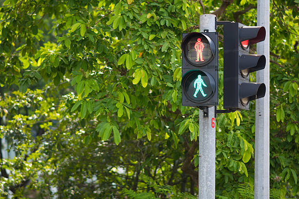 istock Pedestrian Crossing with Both Walk and Don't Walk Signal 532979348