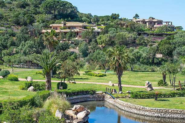 istock park in Liscia di Vacca 532980580