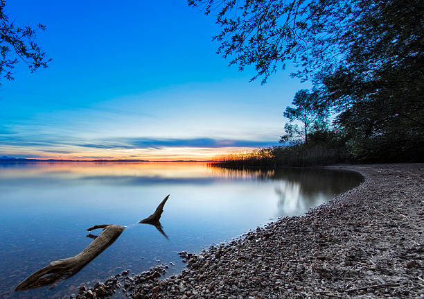 Driftwood at Sunset  - lake Chiemsee 