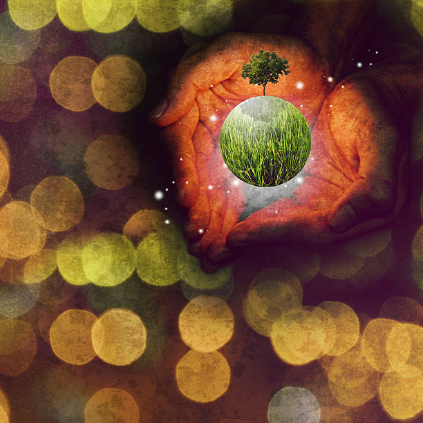 istock Share the green plant, Save the environment 532981216