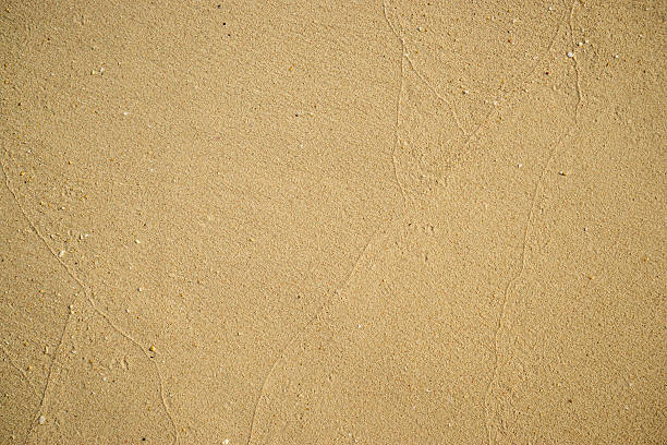 Background of the sand