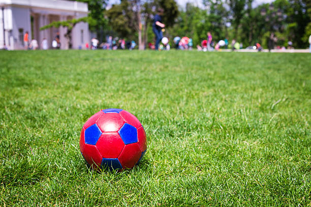 istock Red and blue fotball on grass 532981982
