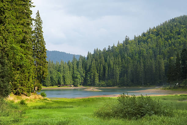 istock Sinevir lake in the Carpathian Mountains 532983709