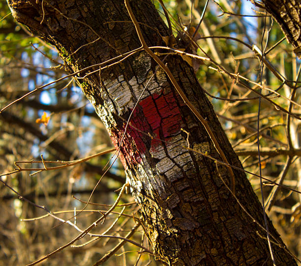 signalisation de trail - segnalazione photos et images de collection