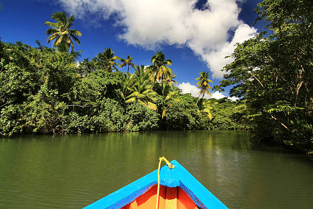 Boat on the Indian river (Dominica)