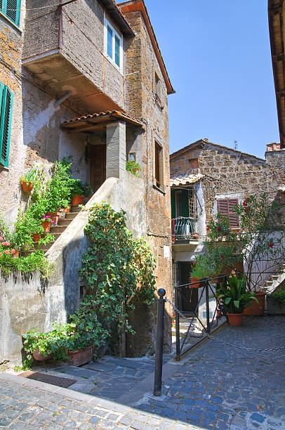 istock Alleyway. Capranica. Lazio. Italy. 533006565