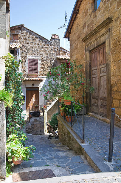 istock Alleyway. Capranica. Lazio. Italy. 533006571