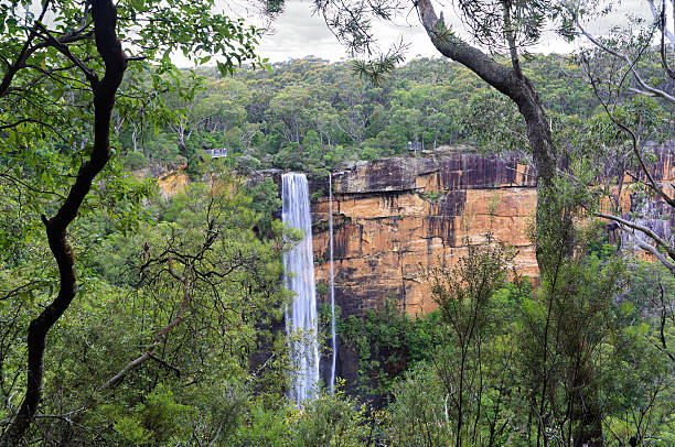 istock Australian bush view of Fitzory Falls 533006707