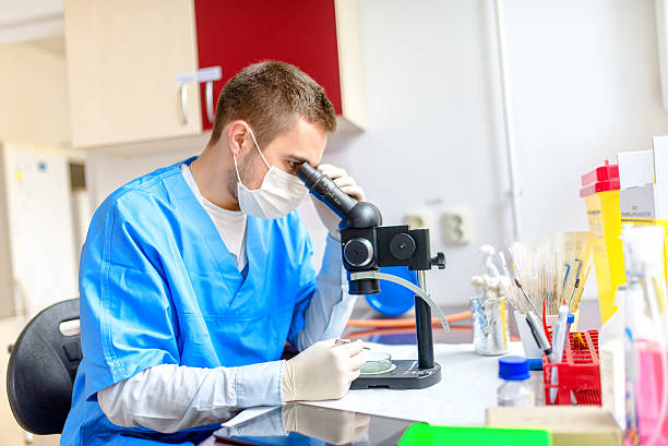 chemical analyst arbeiten auf der untersuchung von proben mit einem mikroskop - scandic stock-fotos und bilder