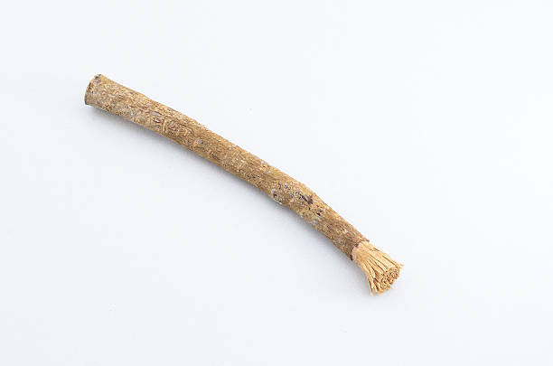 Manfaat Bersiwak Manfaat Bersiwak