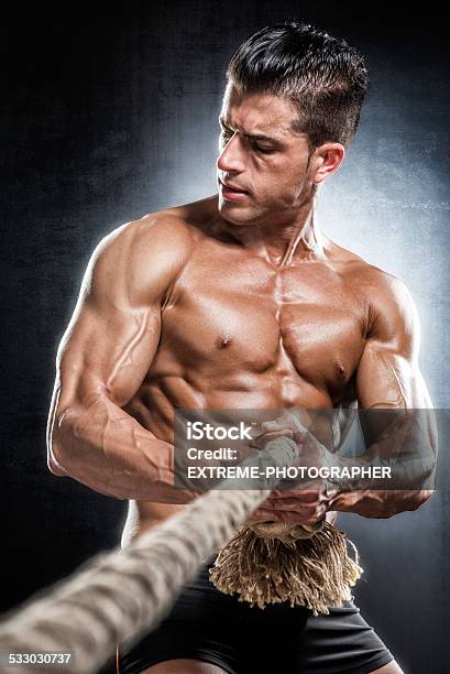 Bodybuilder In Ropes Bodybuilder Pulling The Rope Stock Photo - Download Image Now - 2015 ...