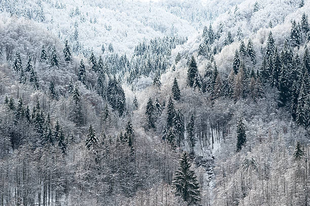 istock Italian Alps snow winter scene 533032237