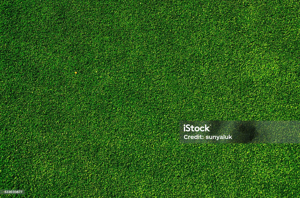 green grass texture background - Royalty-free Gras Stockfoto