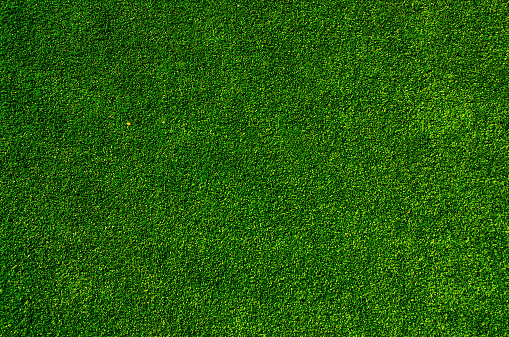 green grass floor texture background