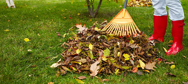 Fall leaves with rake stock photo