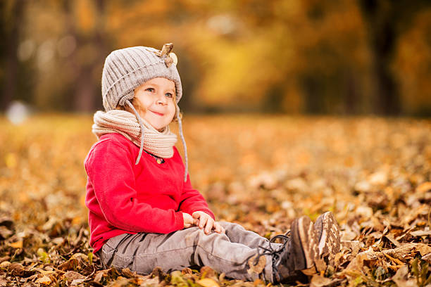 istock Little boy in autumn park. 533035611