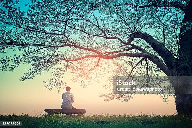 Am Frühen Morgen Dusche Licht Stockfoto und mehr Bilder von Sitzen - Sitzen, Baum, Unterhalb