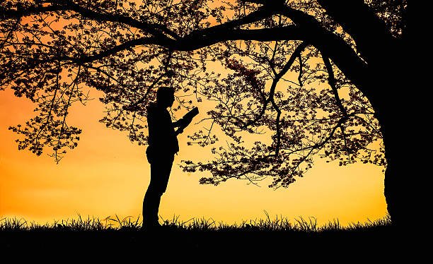 istock man reading a book under a tree in the park. 533039034